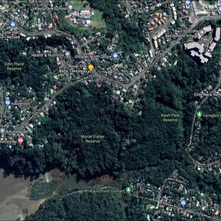Fernglen B&B Окленд Экстерьер фото